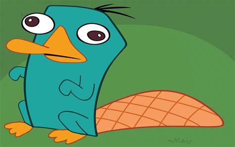 Agent P., Phineas And Ferb, Platypus Wallpapers HD / Desktop and Mobile