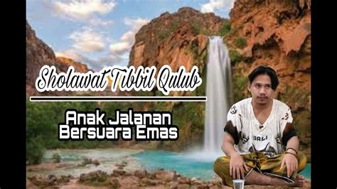 Cover Sholawat Tibbil Qulub Youtube