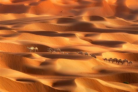 Sea Of Sand Beautiful Photos Of Dubais Deserts Dubai Desert Sand