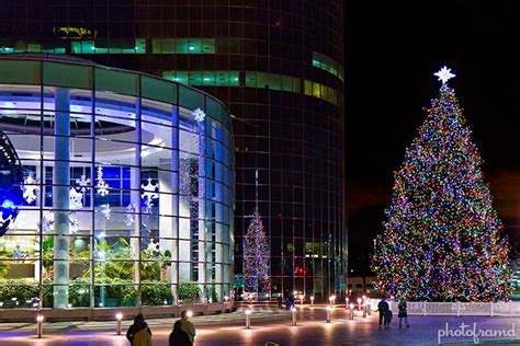 Eab Plaza Christmas Tree 2021