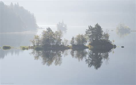 Nature Photography Landscape Lake Trees Mist Calm Waters