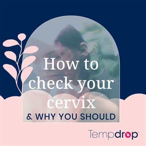 How To Check Your Cervix And Why You Should