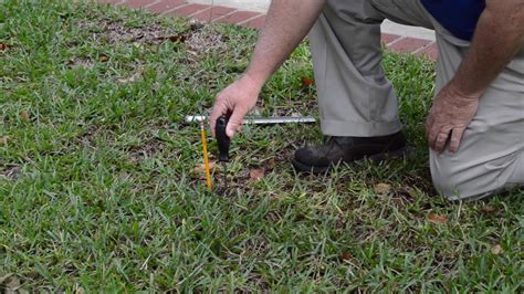 Lawn Aeration And The Importance Of A Ph Check And Lime Application To