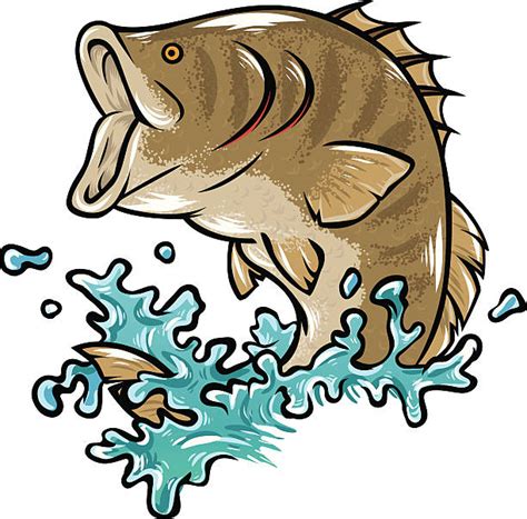 Cartoon Of Largemouth Bass Jumping Out Of Water Illustrations Royalty