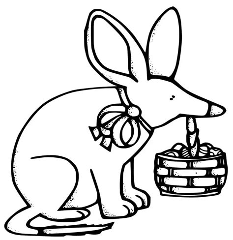 Realistic Bilby Coloring Page Free Printable Coloring Pages For Kids