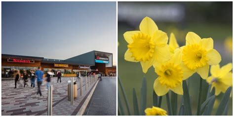 Blooming Brilliant Broughton Retail Park Giving Away Hundreds Of