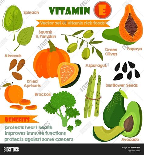 Vitamins Minerals Vector Photo Free Trial Bigstock