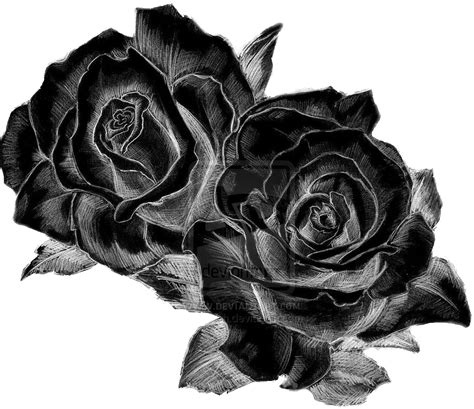 Black Tattoo Rose Top 73 Black Rose Tattoo Ideas 2021 Inspiration Guide
