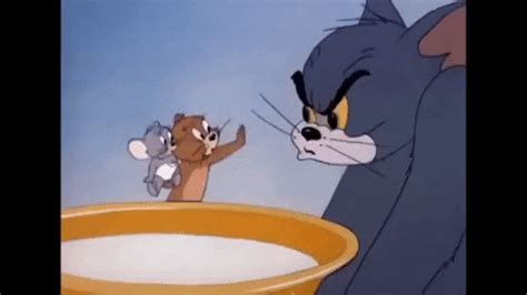 Tom And Jerry Nibbles GIF Find Share On GIPHY Tom And Jerry