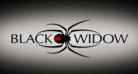 Pin By Judyaviles On O What A Tangled Web Black Widow Black Widow