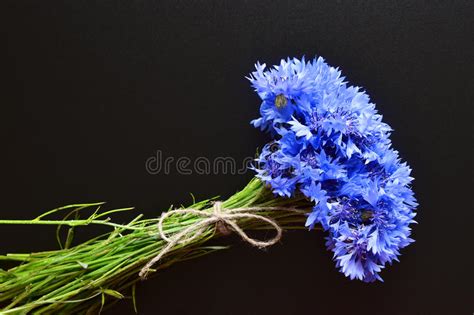 Blue Cornflowers Bouquet Summer Flowers On Grey Floral Background