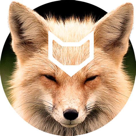 The Fox by the Kilo, via Behance | Fox, Behance, Identity logo