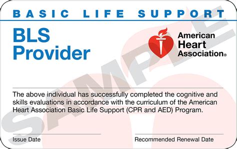 Basic Life Support Bls Provider Trio Safety Cpr Aed Solutions