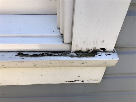 Cost To Repair A Rotten Window Sill 2021 Diy Or Not