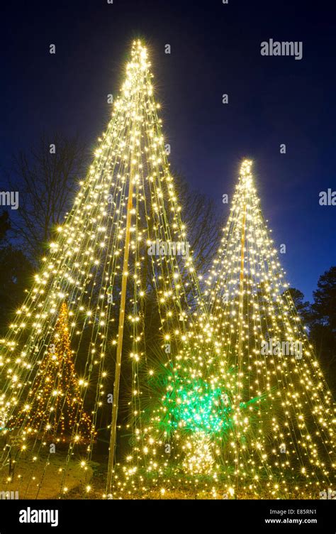 Outdoor Christmas Trees Have Been Decorated With White Lights And Shot
