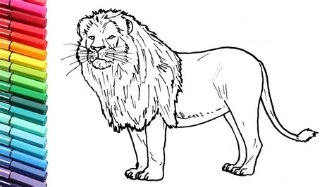 Gambar Draw Lion Learning Wild Animals Color Pages Kids Colors Coloring