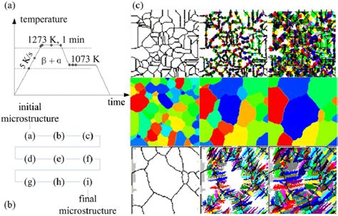 Simulated Microstructure Evolution During Isothermal Heat Treatment Download Scientific