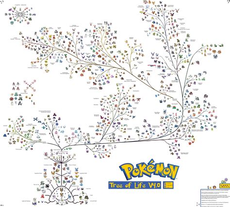 Pokemon Evolution Chart 18x28 Inches Poster Print