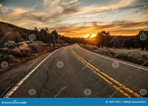 Scenic Asphalt Country Road At Sunset Time In The Forest Stock Image