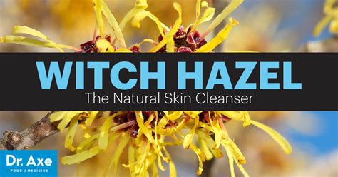 how to use witch hazel to clear up your skin fast dr axe