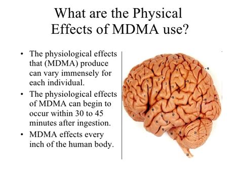 Mdma Uses Side Effects Legality Brain Impact