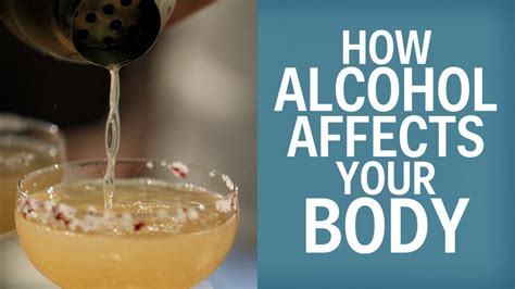 This Is What Happens To Your Body After Drinking Alcohol Viral Ventura