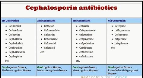Cephalosporins Antibiotics Medizzy