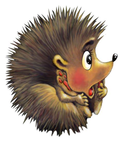 Hedgehog Clipart Porcupine Hedgehog Porcupine Transparent Free For