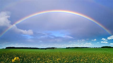 Green Grass Field With Flowers Under Rainbow And Blue Sky With Clouds