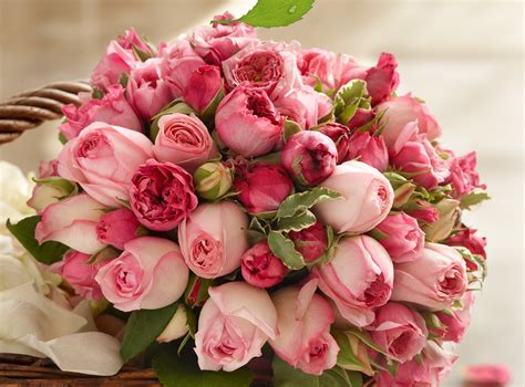 Wallpaper 5000x3700 Px Beauty Bouquet Buds Pink Rose Roses