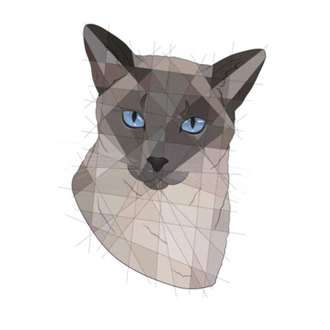 Geometric Cat Tumblr