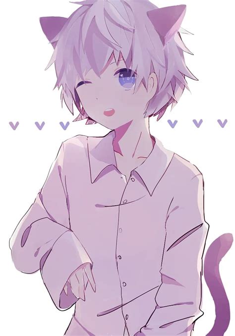 Anime Boy With Cat Kawaii Cute Anime Neko Boy Hd Phone Wallpaper Pxfuel