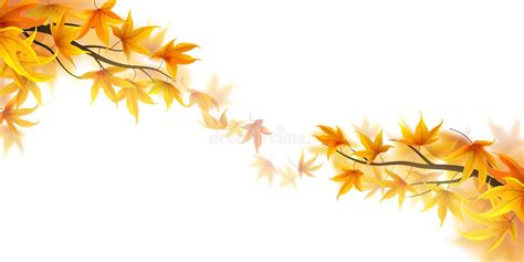 Falling Maple Leaves Stock Photo Image Of Nature Fall 11038192