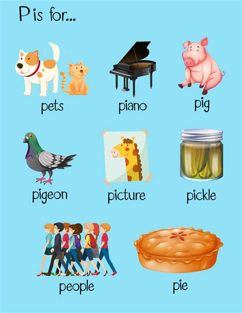 Many Words Begin With Letter P Vector Image On P Words Alphabet My