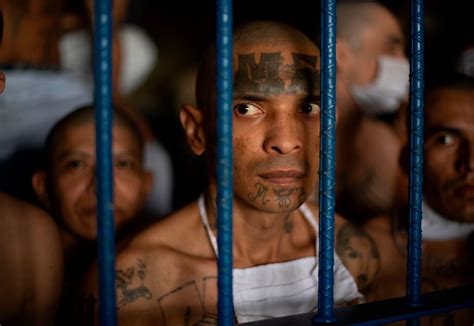 El Salvador Opens Mega Prison As Nayib Bukele Intensifies Crackdown On Gangs Like Ms 13 Latin