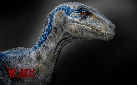 Jurassic World Blue Raptor Wallpaper