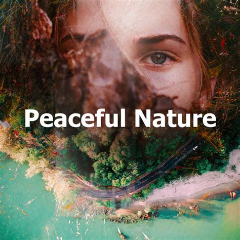 Peaceful Nature Album By Peaceful Nature Music Spotify