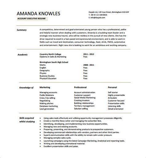 executive resume template   word excel