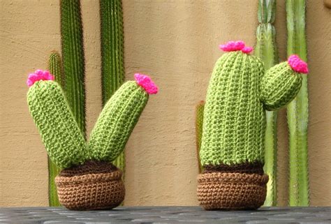 A succulent that has thorns or spines on its leaf ends or margins is not a cactus. Acting My (Vint)Age: The Cuddly Cacti