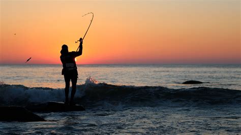 Where are you originally from? Surf fishing the fall migration at the end of the season ...