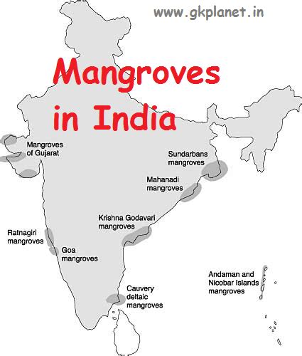 Mangroves Cover Forest In India Gk Planet