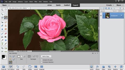 The Auto Selection Tool In Photoshop Elements Instructions