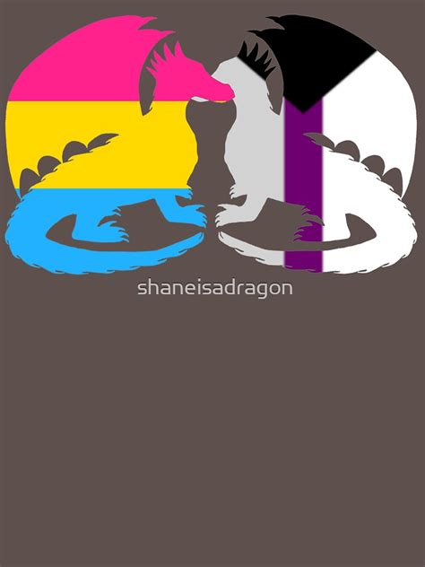 Pan Demisexual Pride Dragons T Shirt By Shaneisadragon Redbubble