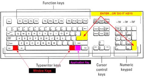 How To Type Division Sign In Microsoft Word