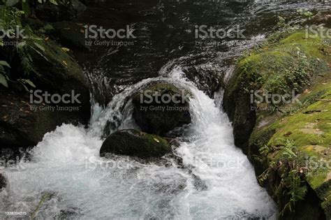 Natural Water Flow Stock Photo Download Image Now Backgrounds