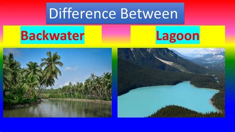 Difference Between Backwater And Lagoon Youtube