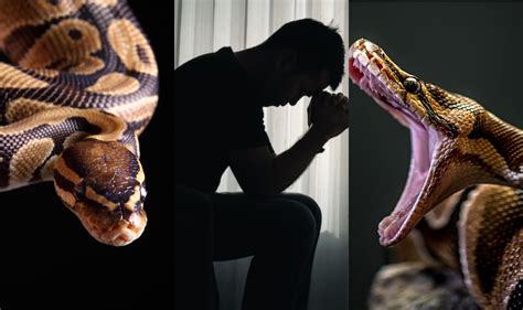 Python Spirit Why This Spiritual Force Impacts Humans Their Mental Health
