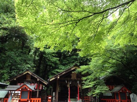 Information Of Rainy Seasonlast Minutes Deals 【公式】京都のお宿 のっと －kyoto Knotー 京町家プライベート宿・体験・レンタルスペース