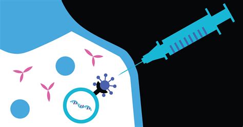 Messenger ribonucleic acid (mrna) vaccines are a novel technology that stimulates the body's own immune response. Behind the Science: what is an mRNA Vaccine? | Pfizer UK