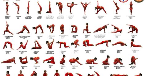 Pegue Las Posturas B Sicas De Yoga Ense Adas Por Maitryananda